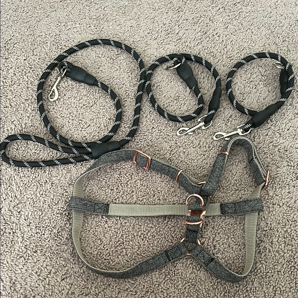 Black and Gray Dog Harness and Leash Set